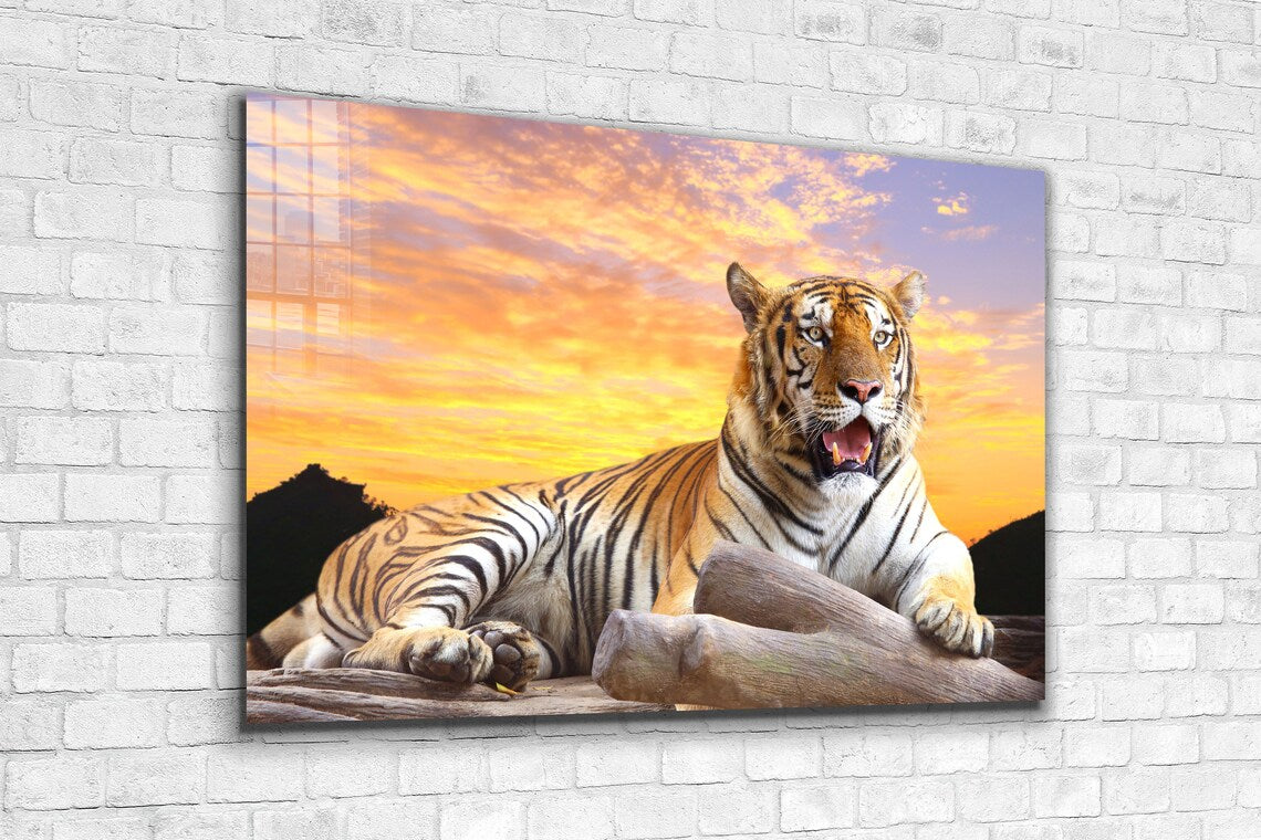 Tiger Sunset Sky View Print Tempered Glass Wall Art 100% Made in Australia Ready to Hang