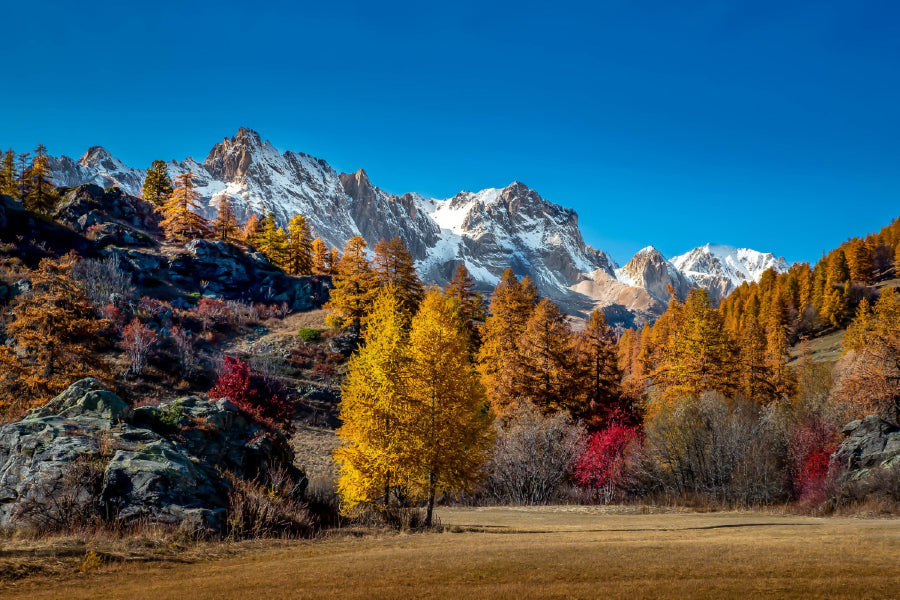 Snow Mountains & Autumn Trees Photograph Print 100% Australian Made