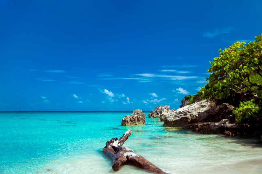 Bella Home Rocky Jungle Sea & Blue Sky View Print Canvas Ready to hang
