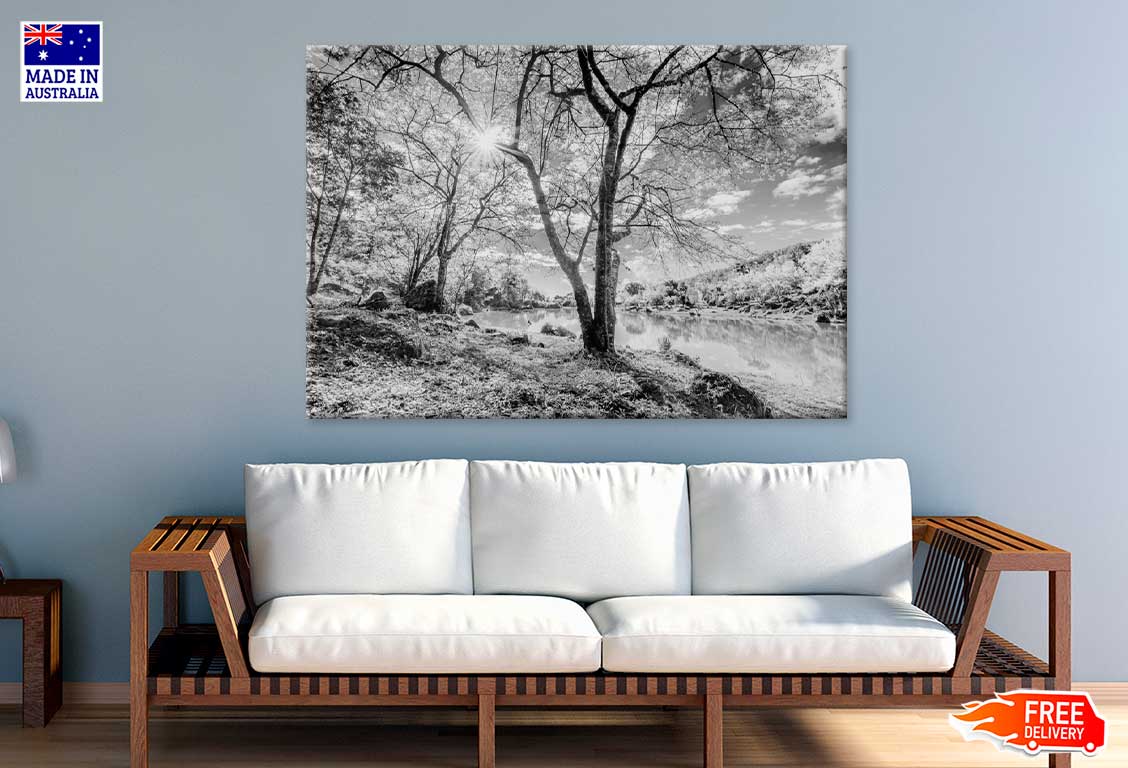 Leafless Trees near Lake B&W Scenery Photograph Print 100% Australian Made