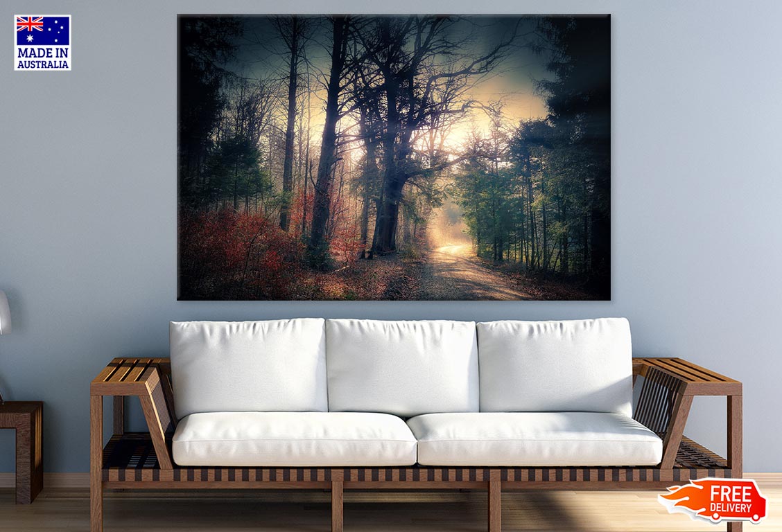 Misty Forest Sunset View Photograph Print 100% Australian Made