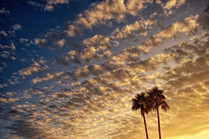 Dark Clouds & Palm Trees Photograph Print 100% Australian Made