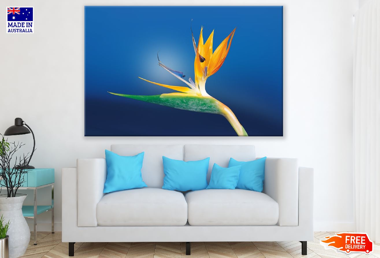 Paradise Flower Closeup Photograph Print 100% Australian Made
