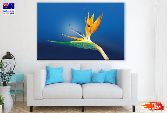 Paradise Flower Closeup Photograph Print 100% Australian Made