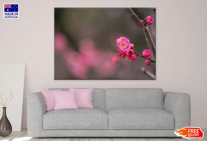 Pink Pulm Flower Closeup View Photograph Print 100% Australian Made