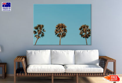 Tropical Palm Trees on Blue Sky Photograph Print 100% Australian Made