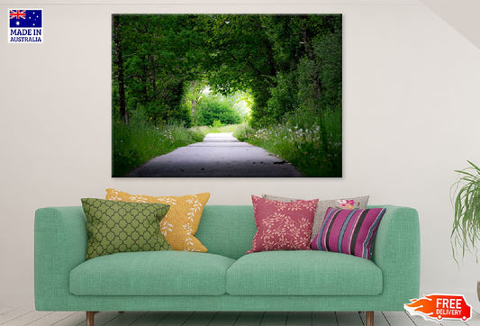 Green Trees Covered Road View Photograph Print 100% Australian Made