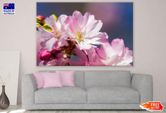 Pink Blossom Flower Closeup Photograph Print 100% Australian Made