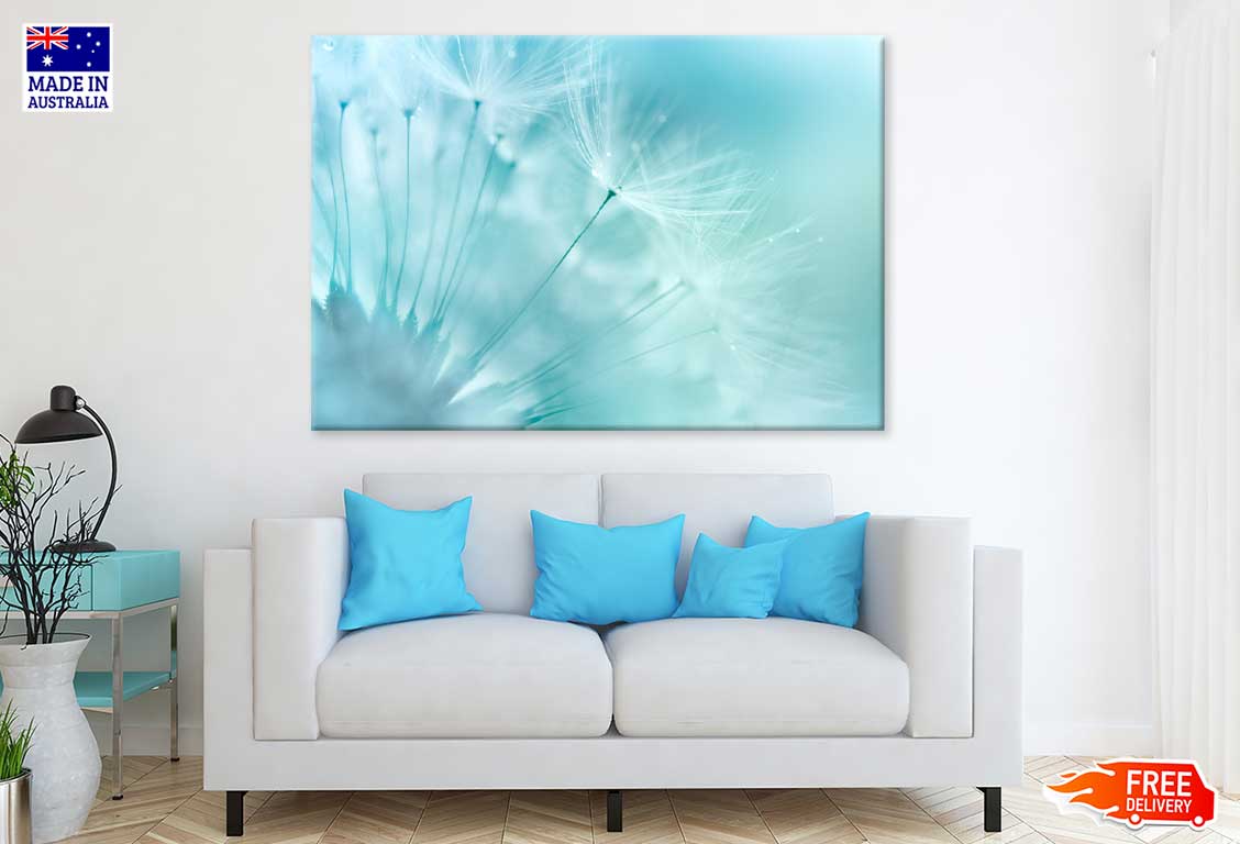 Dandelion Closeup View Photograph Print 100% Australian Made