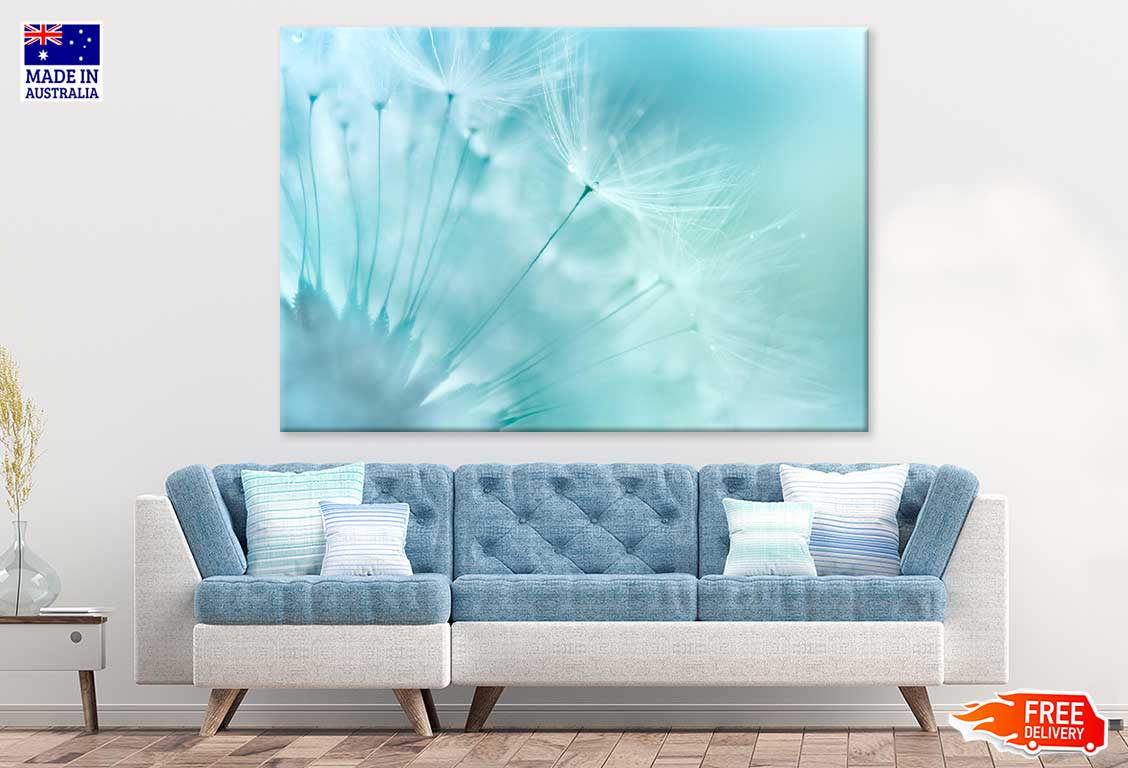 Dandelion Closeup View Photograph Print 100% Australian Made
