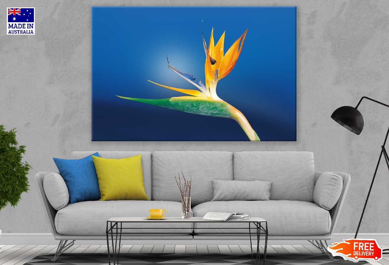 Paradise Flower Closeup Photograph Print 100% Australian Made