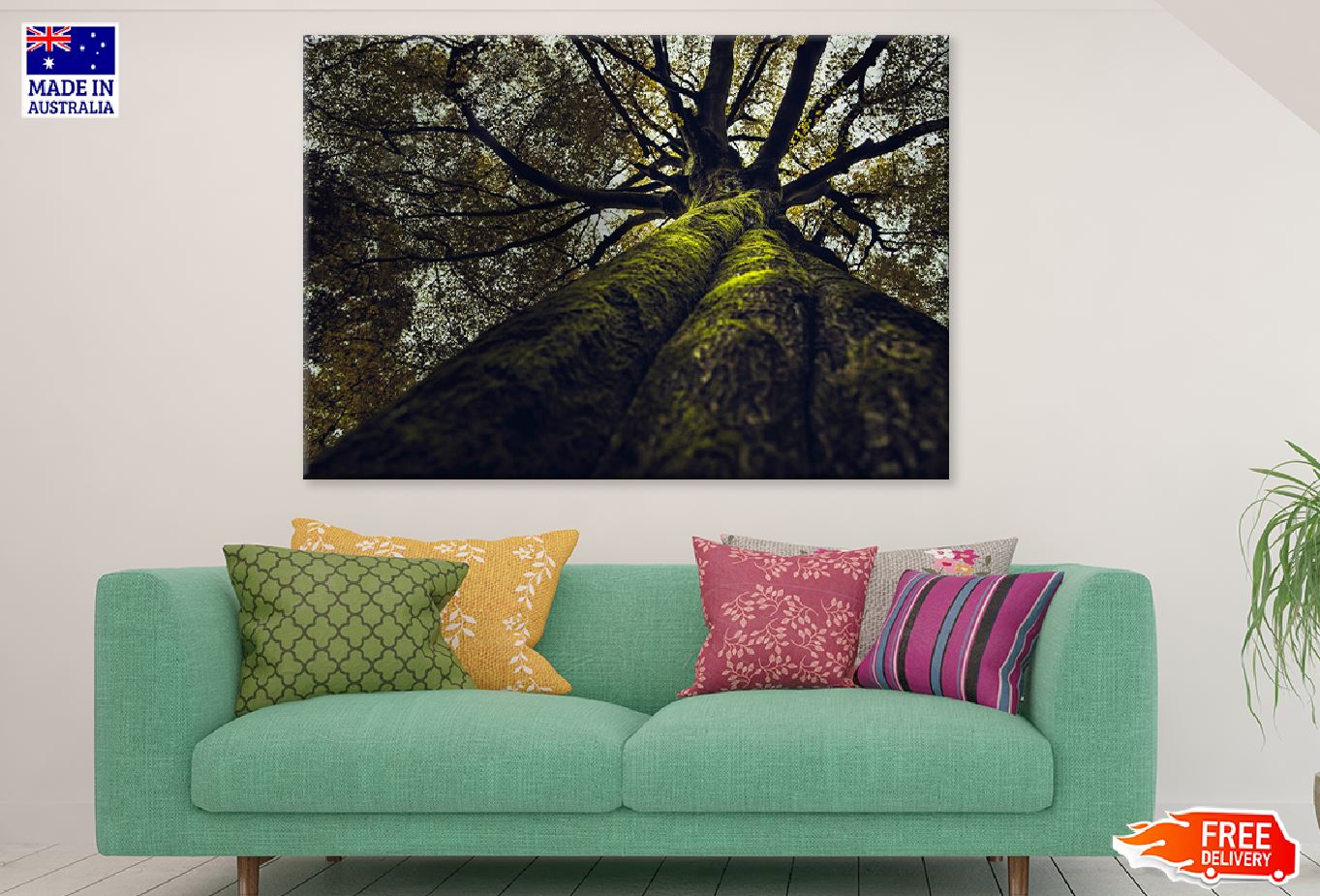 Thick old Tree View From Below Photograph Print 100% Australian Made