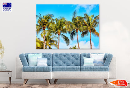 Coconut Palm Trees with Blue Sky Photograph Print 100% Australian Made