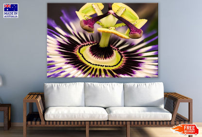Passion Flower Closeup Macro Photograph Print 100% Australian Made