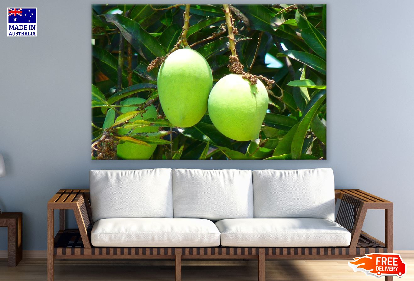 Mango Fruits Closeup Photograph Print 100% Australian Made