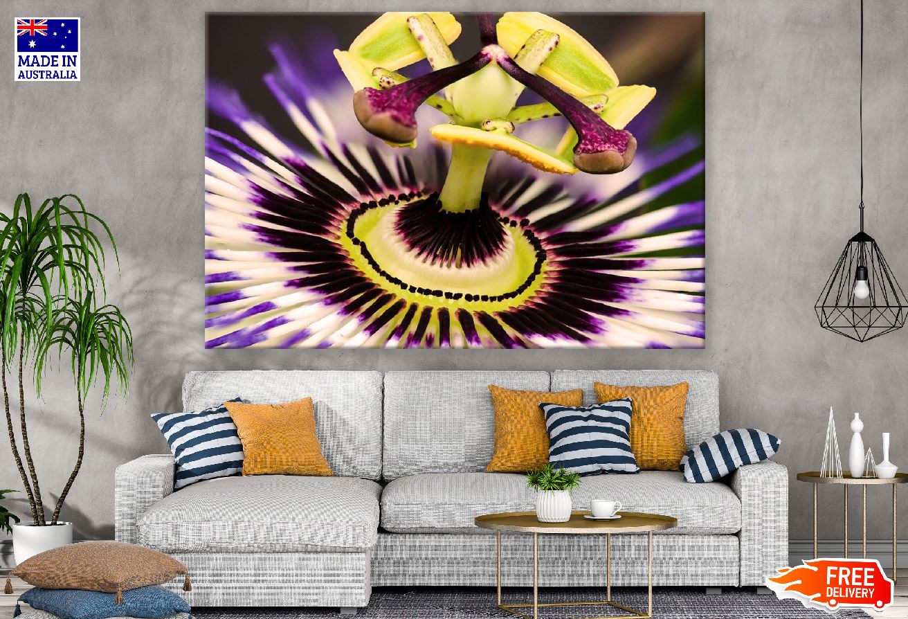 Passion Flower Closeup Macro Photograph Print 100% Australian Made