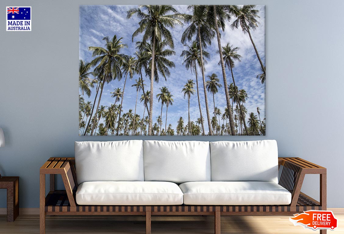 Tall Palm Trees & Sky Photograph Print 100% Australian Made