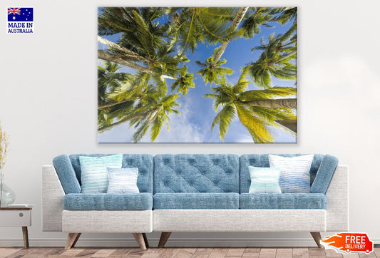 Palm Trees & Blue Sky Photograph Print 100% Australian Made