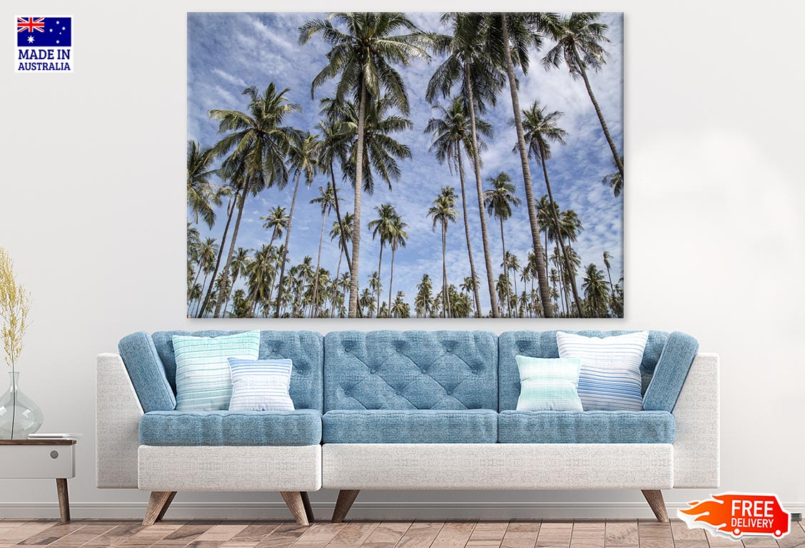 Tall Palm Trees & Sky Photograph Print 100% Australian Made