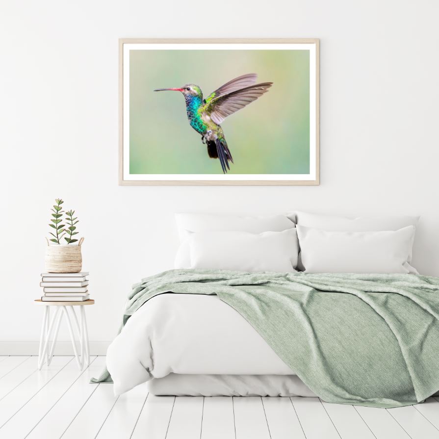 Humming Bird Closeup Photograph Home Decor Premium Quality Poster Print Choose Your Sizes