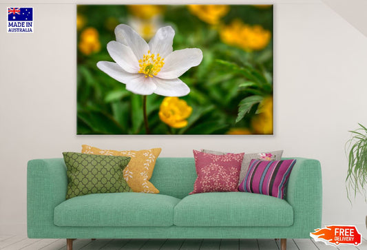 White Anemone Flower Closeup Photograph Print 100% Australian Made