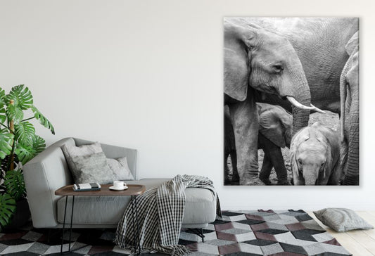 Elephant & Baby Elephant Love Print 100% Australian Made