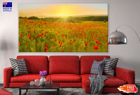 Poppy Field Sunrise Photograph Print 100% Australian Made