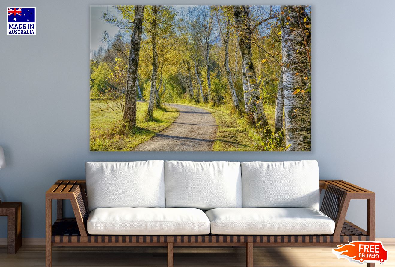 Yellow Autumn Tree Pathway Photograph Print 100% Australian Made