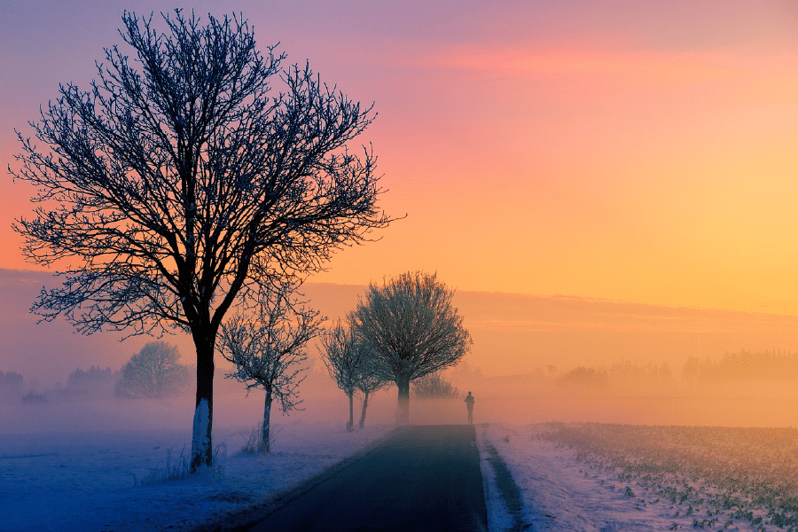 Snow Covered Trees & Road Sunset Photograph Print 100% Australian Made