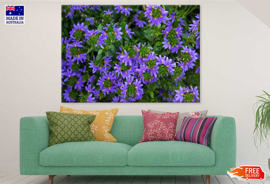 Purple Scaevola Flowers View Photograph Print 100% Australian Made