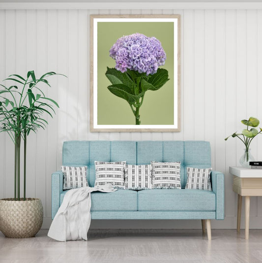 Flower Closeup Photograph Home Decor Premium Quality Poster Print Choose Your Sizes