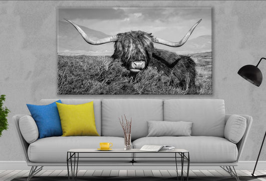 Highland Cow on Grass B&W Print 100% Australian Made