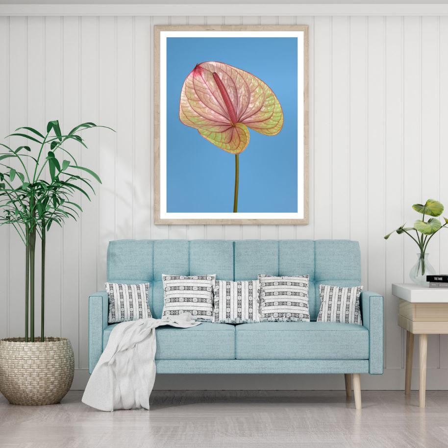Flower Closeup Photograph Home Decor Premium Quality Poster Print Choose Your Sizes