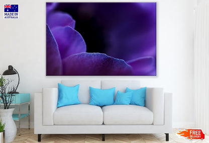 Purple Crocus Flower Petals Closeup Photograph Print 100% Australian Made