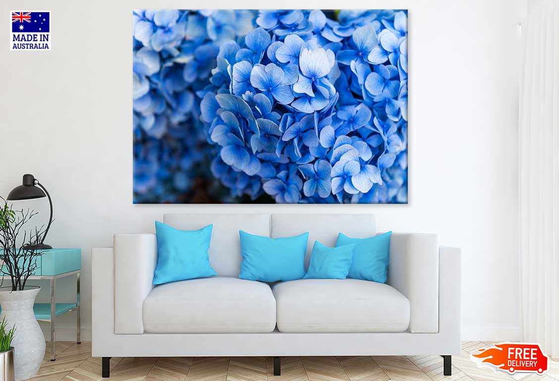 Blue Hydrangea Flower Photograph Print 100% Australian Made