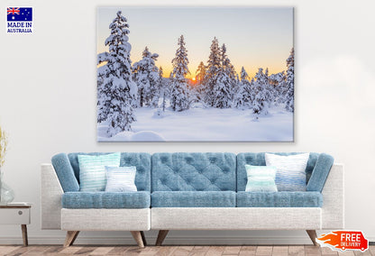 Snow Covered Trees Sunset Photograph Print 100% Australian Made