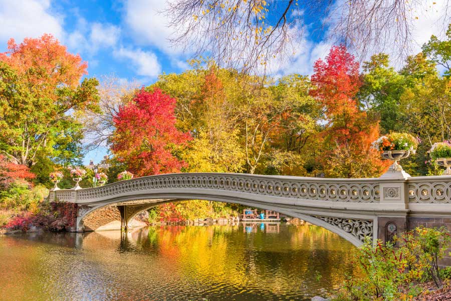 Bella Home River & Bridge Autumn Tree View Print Canvas Ready to hang