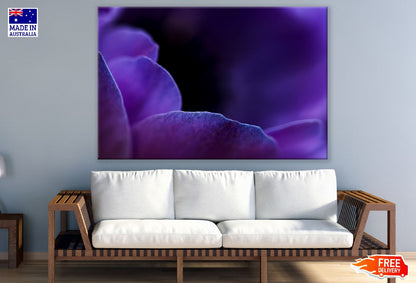 Purple Crocus Flower Petals Closeup Photograph Print 100% Australian Made