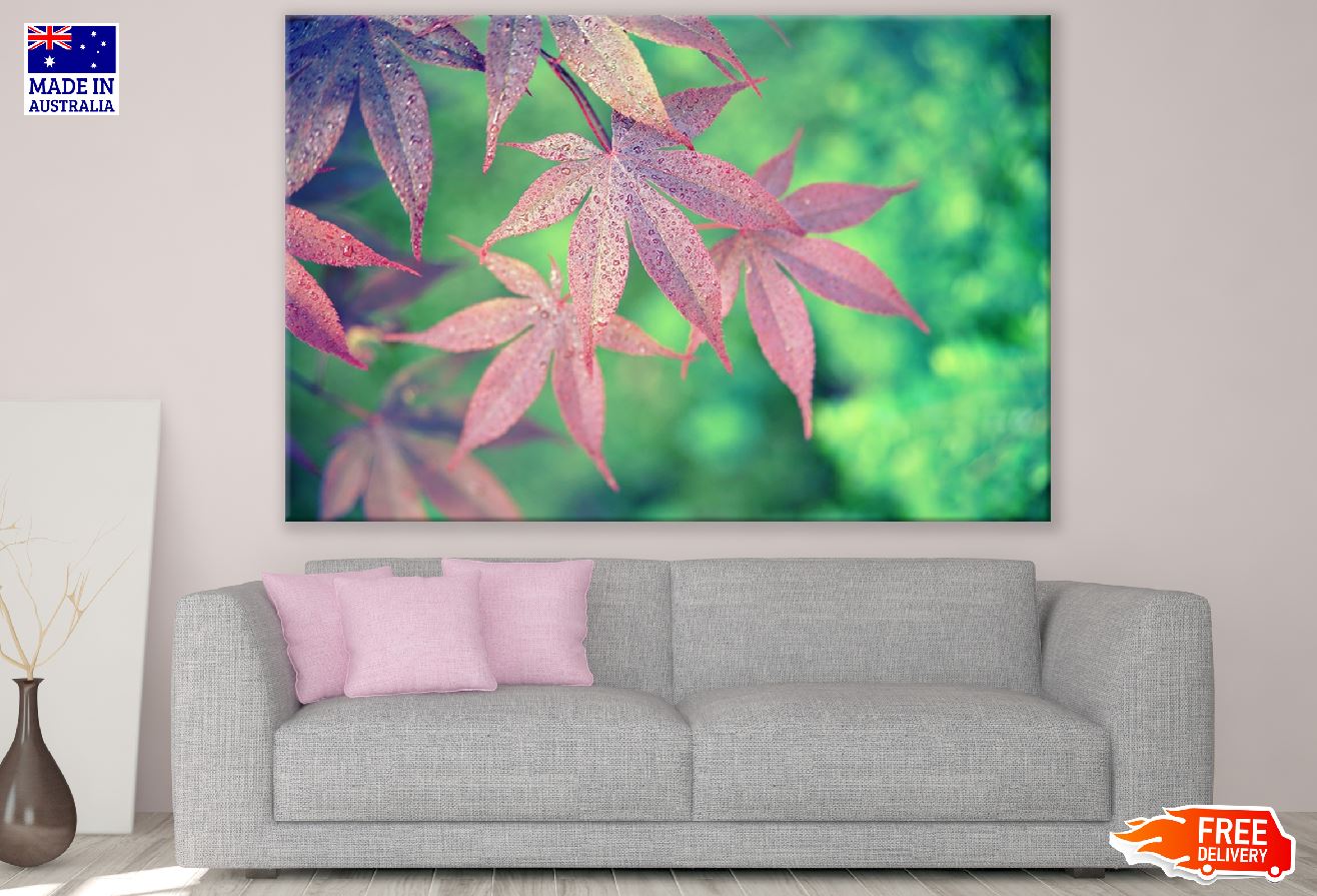 Pink Maple Leaves Photograph Print 100% Australian Made