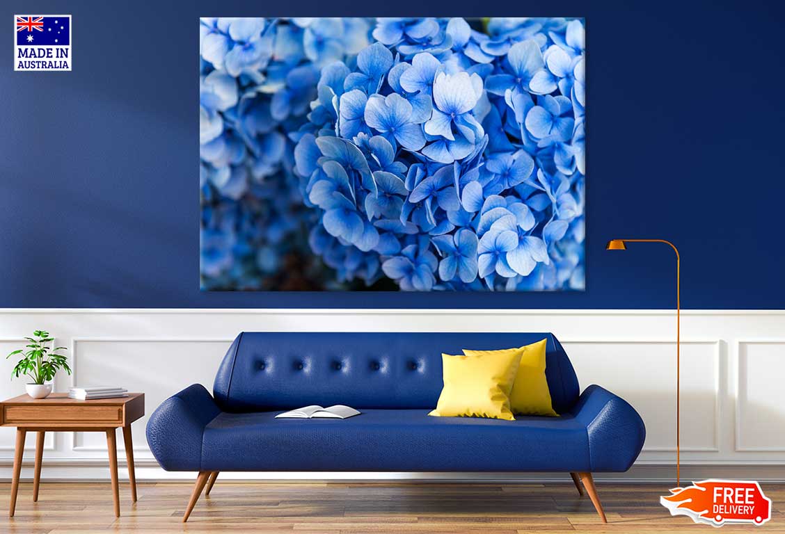 Blue Hydrangea Flower Photograph Print 100% Australian Made