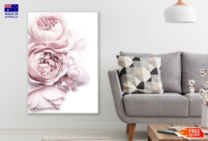 Peony Flower Closeup Photograph Print 100% Australian Made