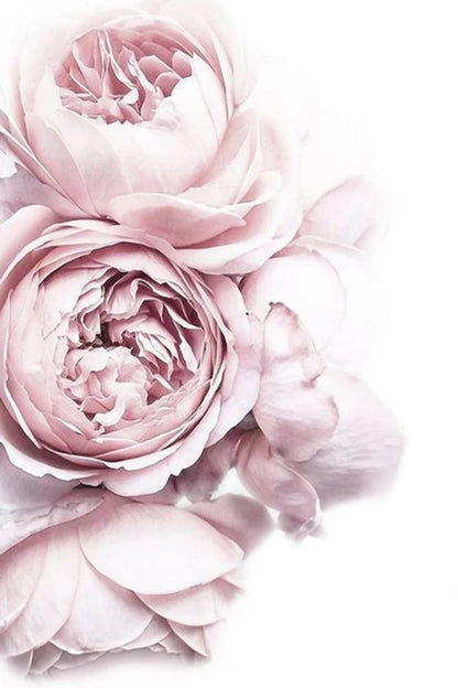 Rose Flowers Painting Print 100% Australian Made