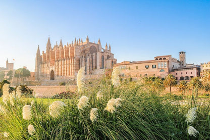 Cathedral of Santa Maria of Palma, Spain Sunset Photograph Print 100% Australian Made