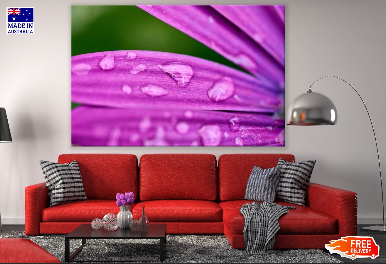 Purple Flower Petals with Water Droplet Photograph Print 100% Australian Made