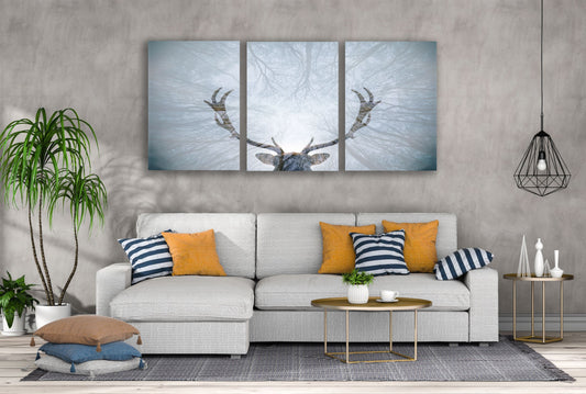 3 Set of Deer Antler & Forest Photograph High Quality Print 100% Australian Made Wall Canvas Ready to Hang