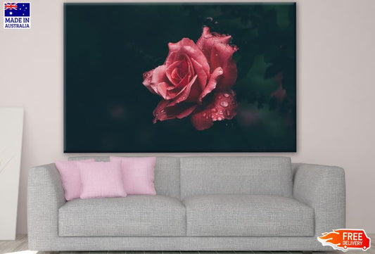 Rose Flower Closeup Photograph Print 100% Australian Made
