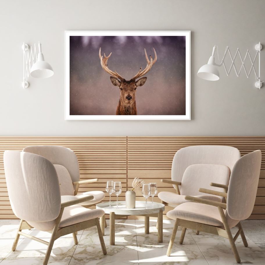 Deer Portrait Photograph Home Decor Premium Quality Poster Print Choose Your Sizes