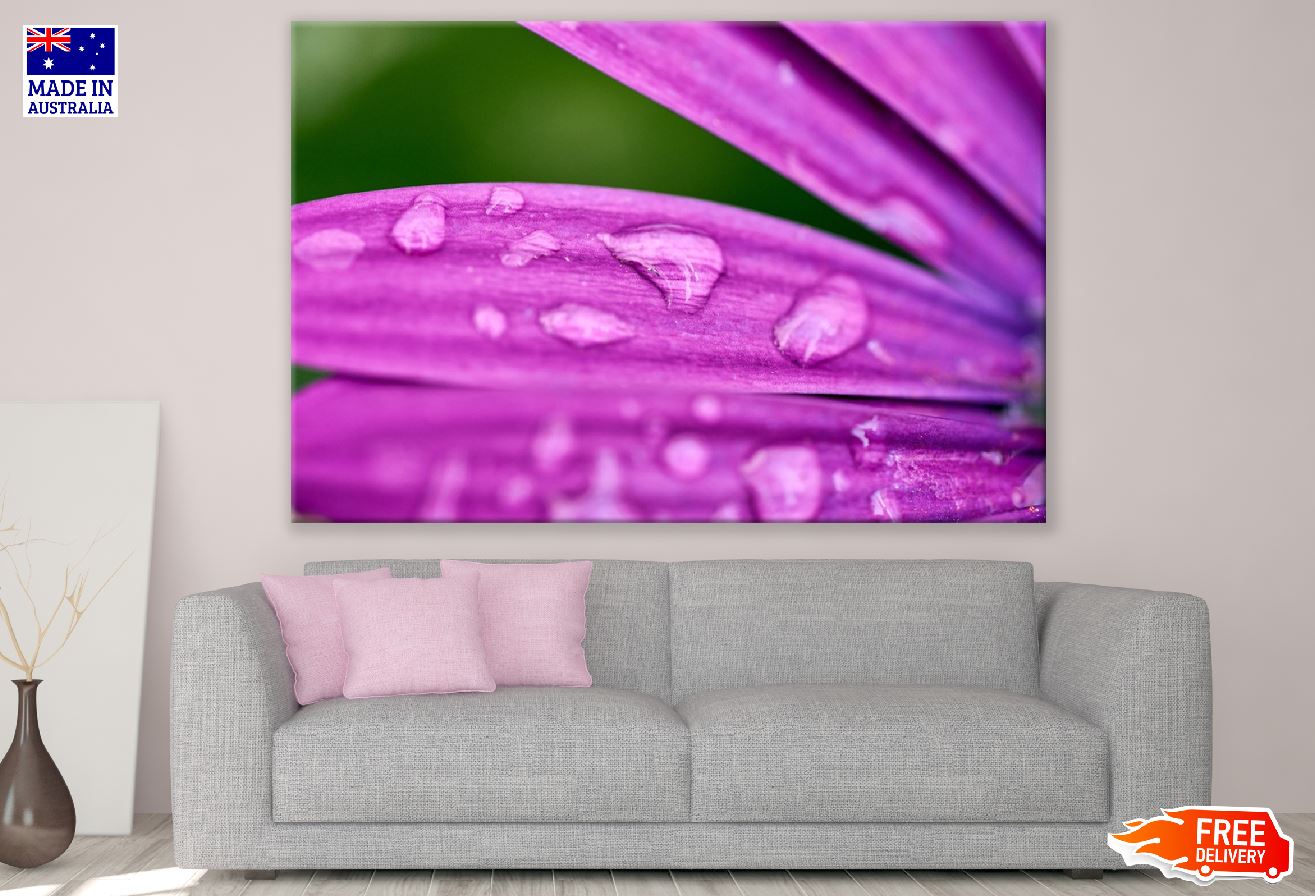 Purple Flower Petals with Water Droplet Photograph Print 100% Australian Made