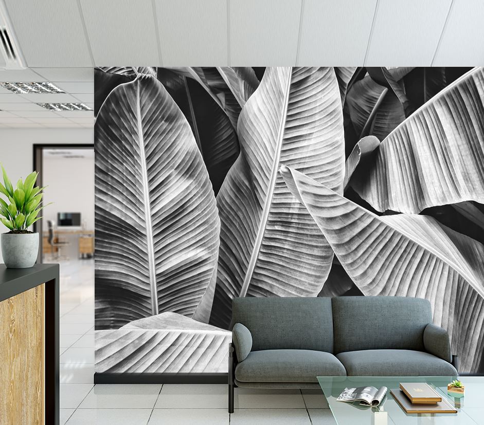 Wallpaper Murals Peel and Stick Removable Stunning Banana Leaves B&W Photograph High Quality