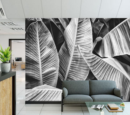 Wallpaper Murals Peel and Stick Removable Stunning Banana Leaves B&W Photograph High Quality